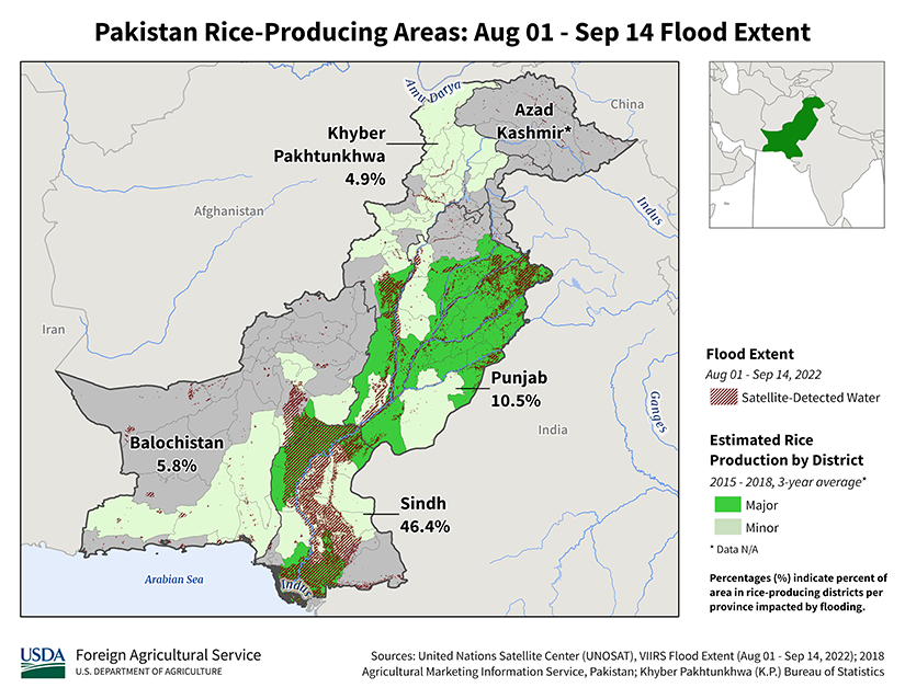 images\Year_2022\August\Floods\sasia\Pakistan\PakistanRiceFloodExtent_thumb.png